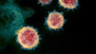 Κορωνοϊός - Θεοδωρίδου: Τα εμβόλια mRNA μπορούν εύκολα να προσαρμοστούν στις μεταλλάξεις