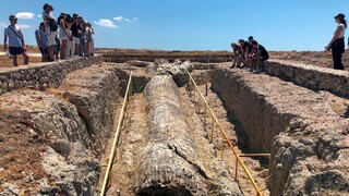 Μυτιλήνη: Τι μαρτυρούν οι περίπου 50 απολιθωμένοι κορμοί δέντρων που βρέθηκαν στις νέες ανασκαφές