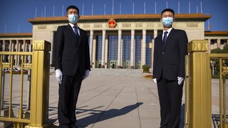 Ειδικός για αποστολή ΠΟΥ στην Κίνα: Κρατείστε μικρό καλάθι για τα αποτελέσματα της έρευνας