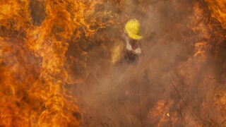 Αργεντινή: «Στάχτη» 65.000 στρέμματα δάσους από πυρκαγιά που μαίνεται