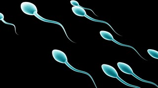 Επηρεάζει ο κορωνοϊός την ανδρική γονιμότητα; Νέα μελέτη προκαλεί διχογνωμία