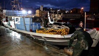 Eπενδύσεις για την αναβάθμιση των αλιευμάτων και του αλιευτικού στόλου της ΕΕ
