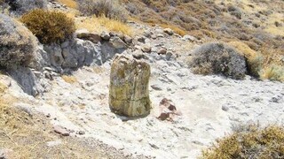Μυτιλήνη: Θα δημιουργηθεί υπαίθριο ανοικτό μουσείο με 15 θέσεις απολιθωμάτων εντός του 2021