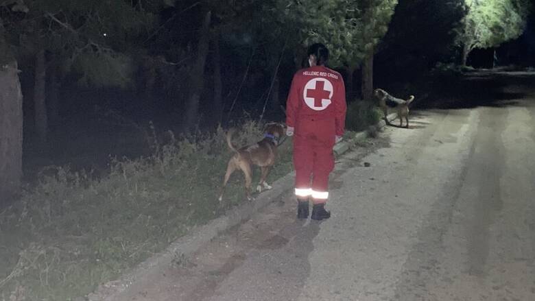  «Υπηρεσία περιπάτου για Ζώα Συντροφιάς» από τον Ελληνικό Ερυθρό Σταυρό