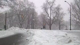 Έντονες χιονοπτώσεις στη Νέα Υόρκη - Τα σχολεία της πόλης άνοιξαν για δια ζώσης διδασκαλία