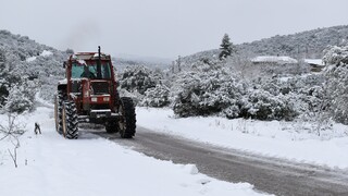 Κακοκαιρία «Μήδεια»: Προβλήματα λόγω χιονόπτωσης και στην Καρδίτσα