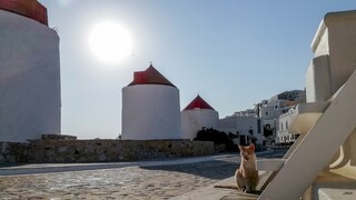 «Ήλιος, θάλασσα και Covid free»: Το γερμανικό Der Spiegel σε μία «ωδή» για τα μικρά ελληνικά νησιά