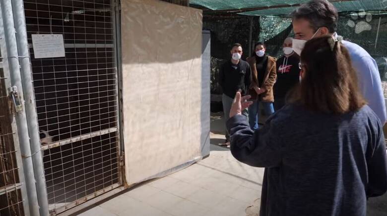 Παγκόσμια Ημέρα Αδέσποτων: Επίσκεψη Μητσοτάκη σε καταφύγιο εγκαταλελειμμένων ζώων στην Ηλιούπολη