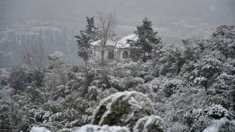 Χιόνισε στην «καρδιά» της άνοιξης στη Δυτική Μακεδονία - Νιφάδες και στη Θεσσαλονίκη
