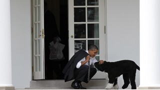 Πέθανε ο Μπο, ο σκύλος της οικογένειας Ομπάμα και… σταρ του Λευκού Οίκου
