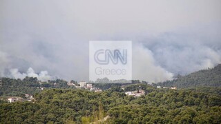 Φωτιά στο Σχίνο: Καπνός και στάχτες στο κέντρο της Αθήνας
