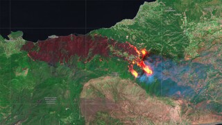 Φωτιά στον Σχίνο: Δορυφορική εικόνα από την καμμένη έκταση