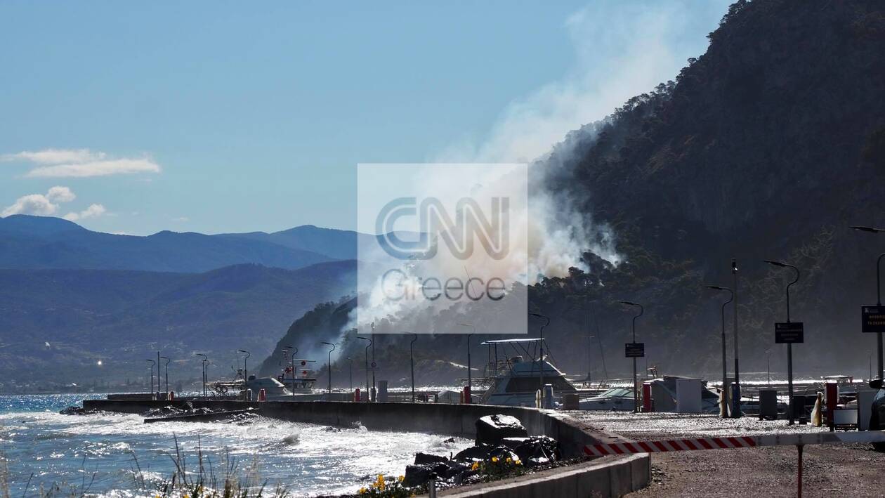 https://cdn.cnngreece.gr/media/news/2021/05/21/266816/photos/snapshot/fotia-sxinos-5.jpg