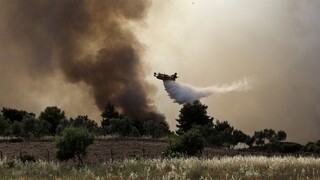 Πυρκαγιές: Οι περιοχές υψηλής επικινδυνότητας στην Αττική