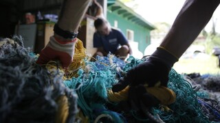 Έρευνα για τα «δίχτυα – φαντάσματα» που στοιχειώνουν τις ακτές της Χαβάης