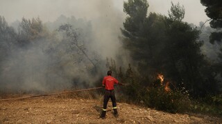 Συναγερμός στην Πυροσβεστική: Φωτιά στα Καλύβια Θορικού