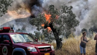 Συναγερμός στην Πυροσβεστική: Φωτιά στο Κιάτο κοντά σε σπίτια