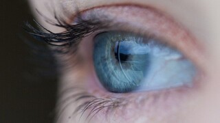 Πώς συνδέονται τα μάτια με την νοημοσύνη μας