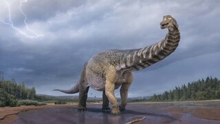 «Αυστραλοτιτάν»: Ο δεινόσαυρος που είχε μήκος όσο ένα γήπεδο μπάσκετ
