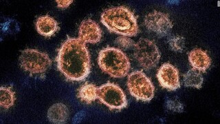 Aποκάλυψη: Επιδημία κορωνοϊού είχε «σαρώσει» την Ανατολική Ασία πριν από 20.000 χρόνια