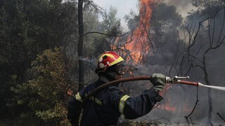 Φωτιά στη Βραυρώνα - Επί ποδός η πυροσβεστική