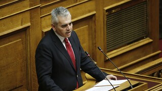 Μ. Χαρακόπουλος: Ικανοποίηση για τη σύλληψη του φυγόποινου Χρήστου Παππά