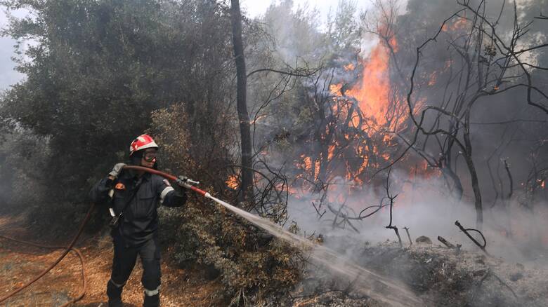 Συναγερμός στην Πυροσβεστική: Δύο νέες πυρκαγιές σε Θάσο και Καστοριά