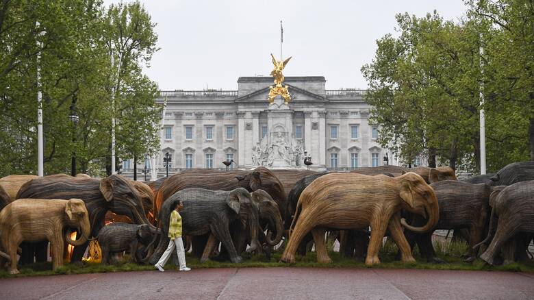 Αγέλες «ελεφάντων» στέλνουν μηνύματα για το οικοσύστημα από τα πάρκα του Λονδίνου