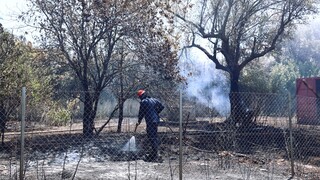 Υπουργός Εσωτερικών Κύπρου: Βιώνουμε την καταστροφικότερη πυρκαγιά από την ίδρυση του κράτους