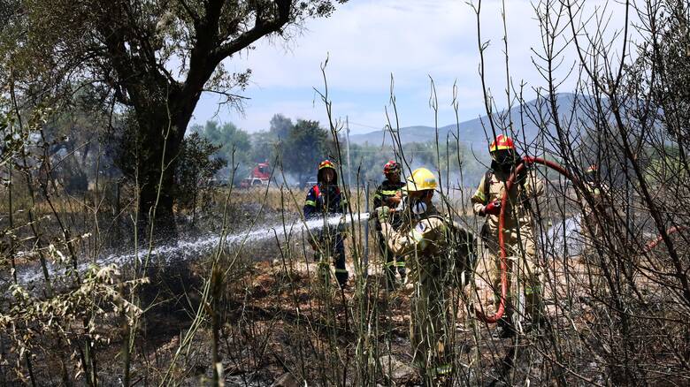 Υπό έλεγχο η φωτιά στο Μαρκόπουλο - Έσβησαν οι φλόγες σε Πάρνηθα και Πεντέλη