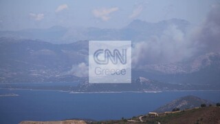 Πυρκαγιά στην Εύβοια: Μάχη με τον χρόνο για την κατάσβεση των εστιών στα Νέα Στύρα