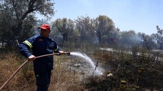 Θεσσαλονίκη: Φωτιά στο δάσος του Σέιχ Σου