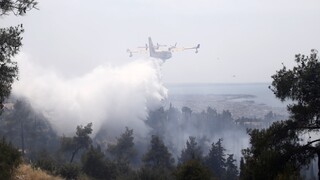 Θεσσαλονίκη: Σε ύφεση η φωτιά στο Σέιχ Σου - Κάηκαν 90 στρέμματα δάσους