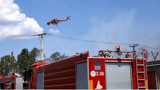 Φωτιά στο Καλέντζι Κορινθίας: Ισχυρές δυνάμεις της Πυροσβεστικής στη μάχη με τις φλόγες