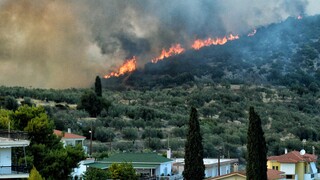 Μαίνονται οι φωτιές σε Νέα Αλμυρή και Επίδαυρο - Υπό έλεγχο το μέτωπο στην Εύβοια