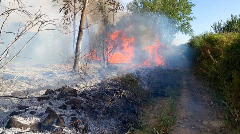 Σε κατάσταση έκτακτης ανάγκης η Σαρδηνία από τις πυρκαγιές
