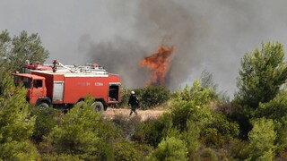 Φωτιά στο Αίγιο: Καίει αγροτοδασική έκταση στην περιοχή Ζήρια