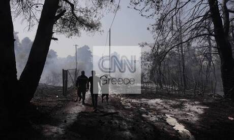 Φωτιά στη Σταμάτα: Εικόνες αγωνίας και καταστροφής - Σε αυλές σπιτιών οι φλόγες