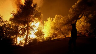 Βόνιτσα: Δύσκολη μάχη με τις φλόγες - Εκκενώθηκε προληπτικά ο οικισμός Δρυμός
