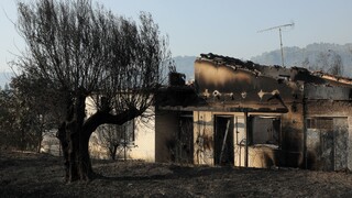 Χρυσοχοΐδης για φωτιά στην Αχαΐα: Κατορθώσαμε να μην λάβει μεγαλύτερες διαστάσεις