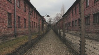 Γερμανία: Σε δίκη 100χρονος πρώην φρουρός σε στρατόπεδο συγκέντρωσης των ναζί