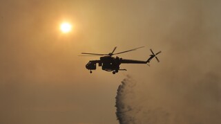 ΚΙΝΑΛ για πυρκαγιά στην Αχαΐα: Αποδείχθηκε η ανικανότητα του επιτελικού κράτους