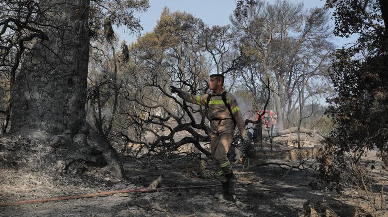 Φωτιά Αχαΐα: Κάηκε μεγάλο τμήμα της κοινότητας Ζήρια - Σοβαρές ζημιές καλλιέργειες