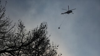 Φωτιά στην Εύβοια: «Μάχη» με τις αναζωπυρώσεις - Κάηκαν τουλάχιστον 150 σπίτια