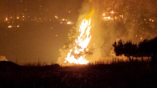 Φωτιά στη Λίμνη Ευβοίας: Εκκένωση δύο χωριών - Κυκλώνουν το μοναστήρι του Οσίου Δαυίδ οι φλόγες