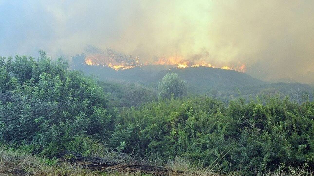Δορυφορικές εικόνες των πυρκαγιών σε Εύβοια και Ηλεία - CNN.gr