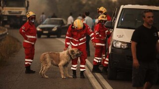 Φωτιά στη Βαρυμπόμπη: Ολονύχτια συνδρομή του Ελληνικού Ερυθρού Σταυρού στο μέτωπο