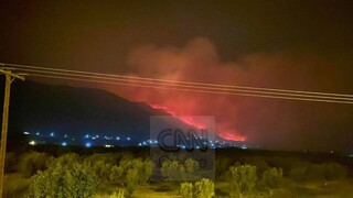 Φωτιά στη Φωκίδα: Ανεξέλεγκτες οι φλόγες - Έφτασαν σε σπίτια