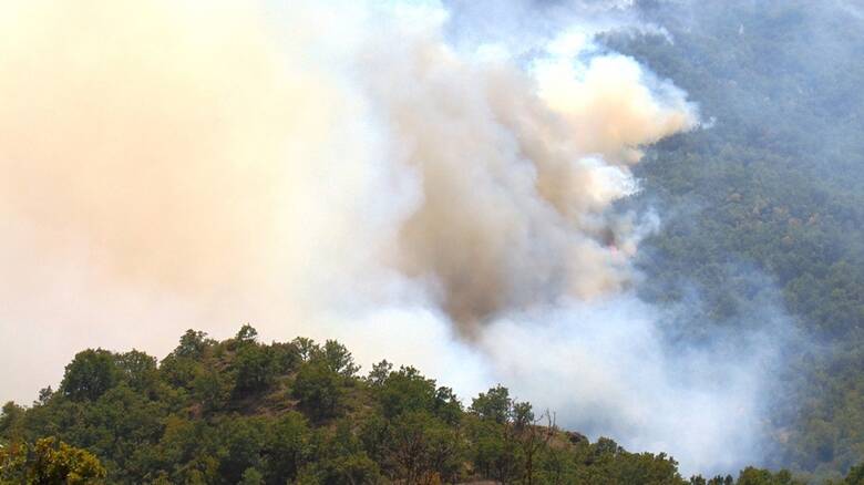 Πυρκαγιά στα Γρεβενά - Προληπτική εκκένωση οικισμών