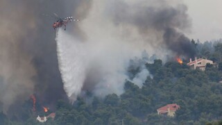 Φωτιά Αττική: Νέο μήνυμα 112 για εκκένωση σε Καπανδρίτι, Πολυδένδρι και Μαλακάσα